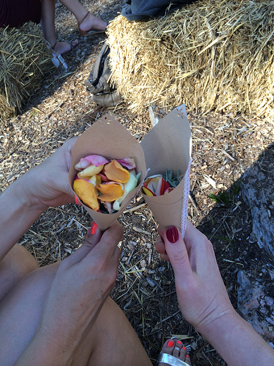 Confetti at Tam's wedding - in Keren and Amy's hands