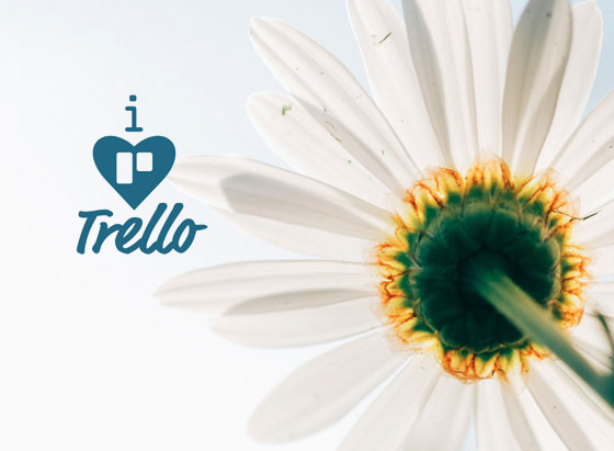 Productivity: Trello can change your life!