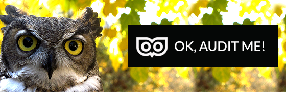 Audit me - Free website audit from Top Left Design