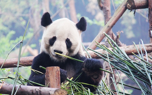 Make sure spelling and grammar are correct