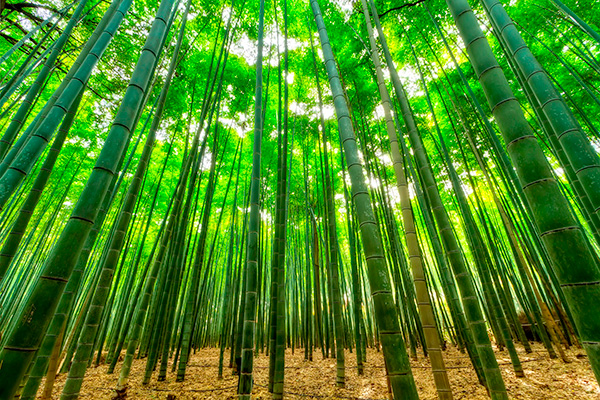 Website Design Tips For Growth Google Website Optimiser