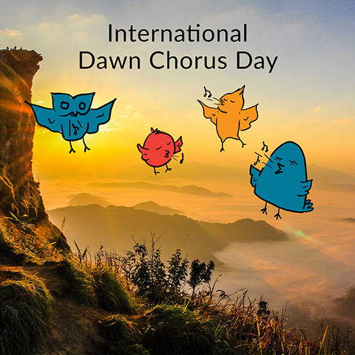 May 5 - Dawn Chorus Day