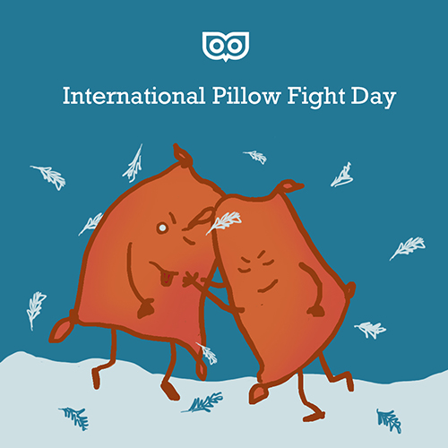 Apr 6 - Pillow Fight Day