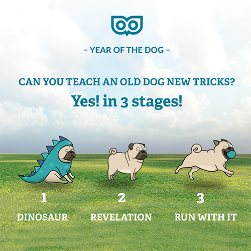 2018 - Year of the Dog