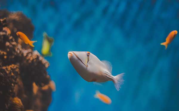 Will my WordPress website get hacked?