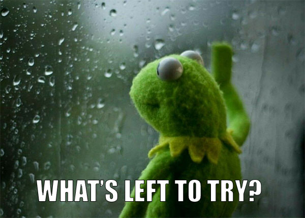 TLD meme using Kermit at the window