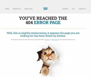 404 error page