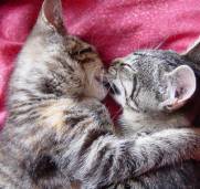 hugging