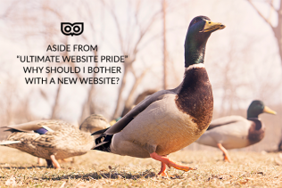 Should I bother with a new website?
