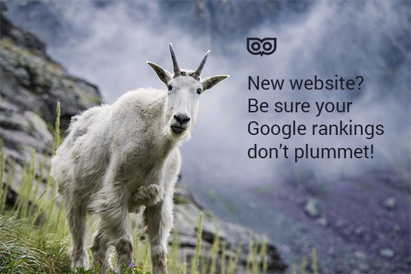 New site? Avoid a drop in Google Rankings!