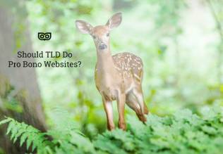 Should TLD do Pro Bono Websites?