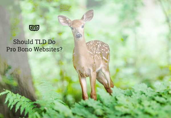 Should TLD do Pro Bono Websites?