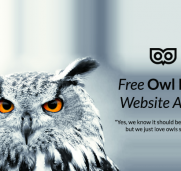 Get free suggestions for improvements with our free audit