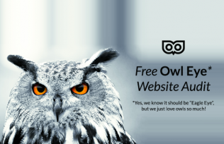 Get free suggestions for improvements with our free audit