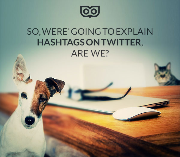 Explaining Hashtags on Twitter