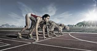 Build a faster and more agile business