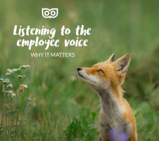 Why you should listen to the employee voice