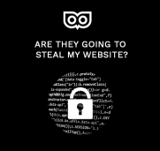 Are they going to steal my website?