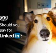 Should you pay for LinkedIn?