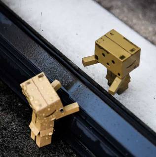 What could possibly go wrong with a WordPress site?