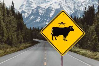 How to avoid delays in your website project