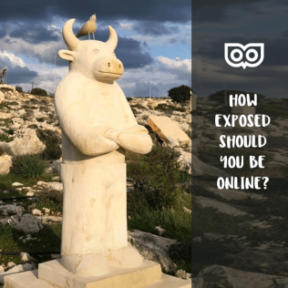 How exposed should you be on social media?