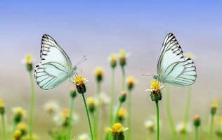 Conversion rate optimisation: Improve your website's conversion rate