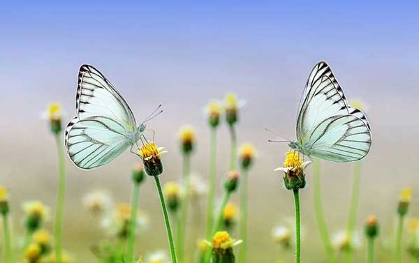 Conversion rate optimisation: Improve your website's conversion rate