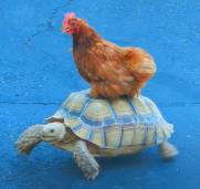 Are you running an old version of PHP?