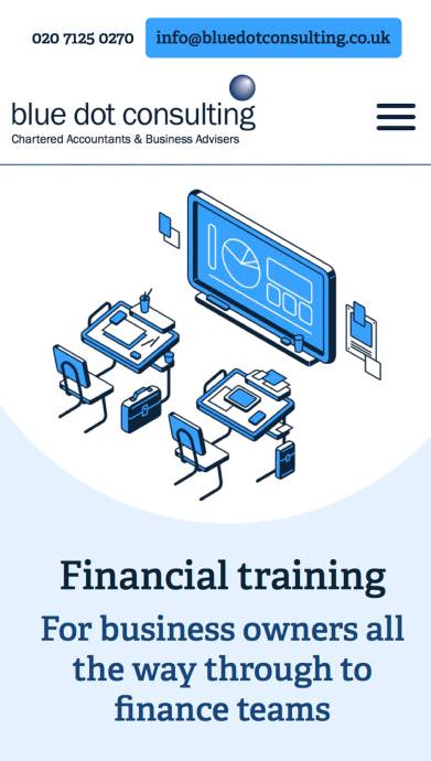 Blue Dot Consulting