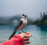 How to provide excellent customer service