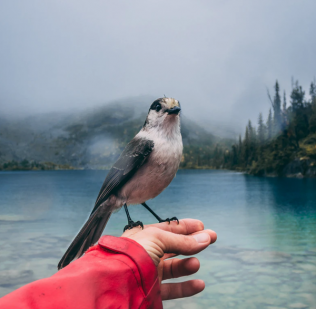 How to provide excellent customer service