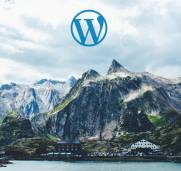 wordpress upgrade support