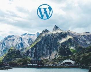 wordpress upgrade support