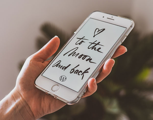 Why we love WordPress