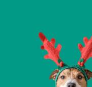 Give marketing a holiday facelift