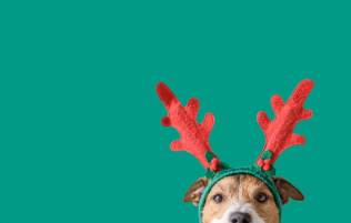 Give marketing a holiday facelift