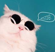 What are ways you can get things for free from Top Left Design?