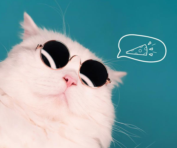 What are ways you can get things for free from Top Left Design?