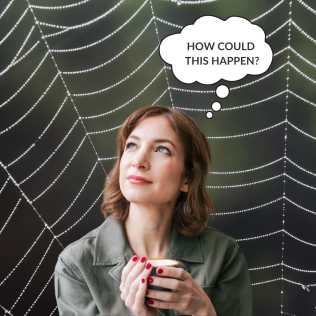 Bespoke website design - how could it be that you're not happy?