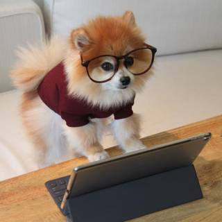 Hosting - things to know