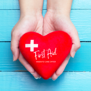 TLD First Aid - website care