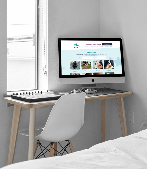 Starlight Barking, meed the dogs