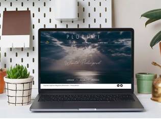 How TLD differentiated Plurimi through their website