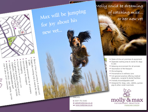 blog2 Molly & Max Postcards