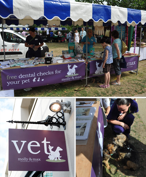 blog3 Local fair in Parsons Green