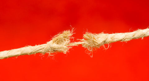 Cross device compatibility