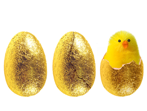 Spice of life Spice of life