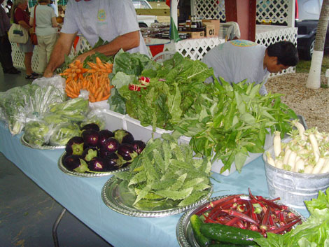 Fresh veg at Grand Cayman Farmers Market on recent trip to Cayman Islands to look at the food and learn about local dishes
