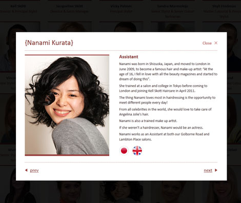 Meet the team pop up light box Meet the team pop up light box